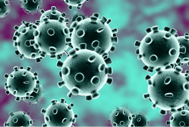 Coronavirus COVID-19 pandemic