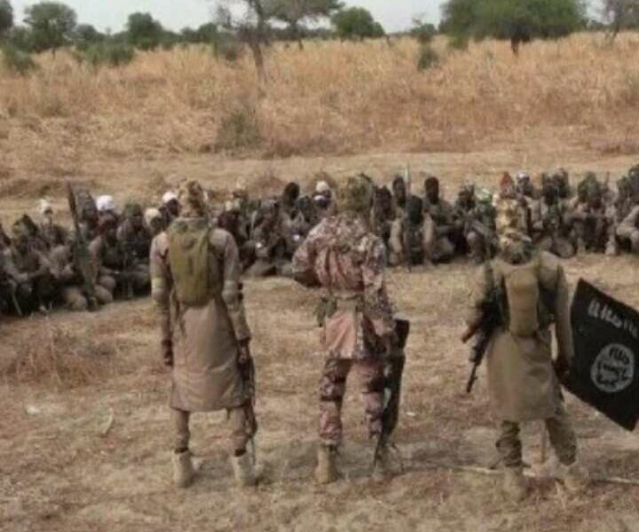 Jihadists Terrorist Boko Haram Insurgents