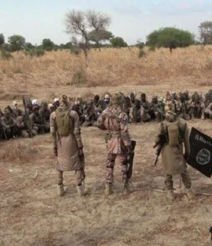 Jihadists Terrorist Boko Haram Insurgents