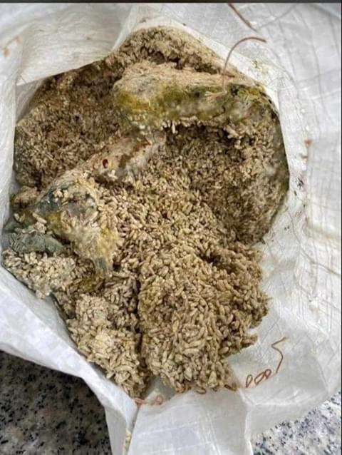 Rotten rice to South West 2