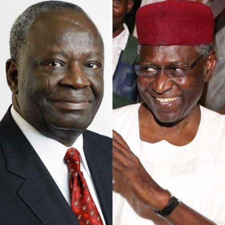 Prof Ibrahim Gambari and Abba Kyari