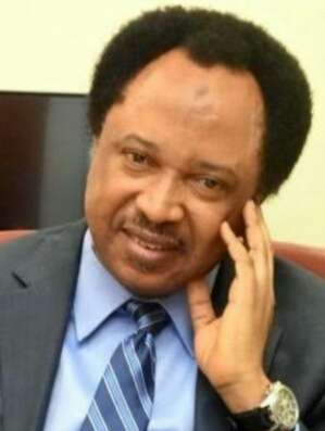 Senator Shehu Sani