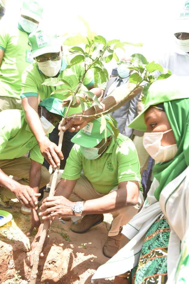 Gombe Goes Green Project 3G tree planting