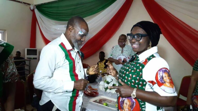 Senator Ekwunife hosts Anambra State PDP LG, Ward Chairmen