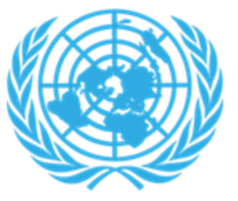 UN Logo