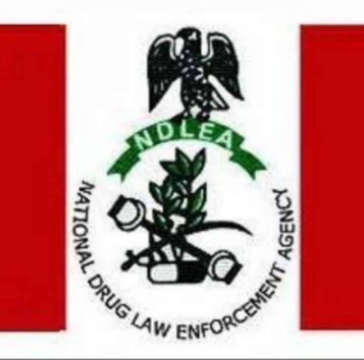 National Drug Law Enforcement Agency NDLEA logo