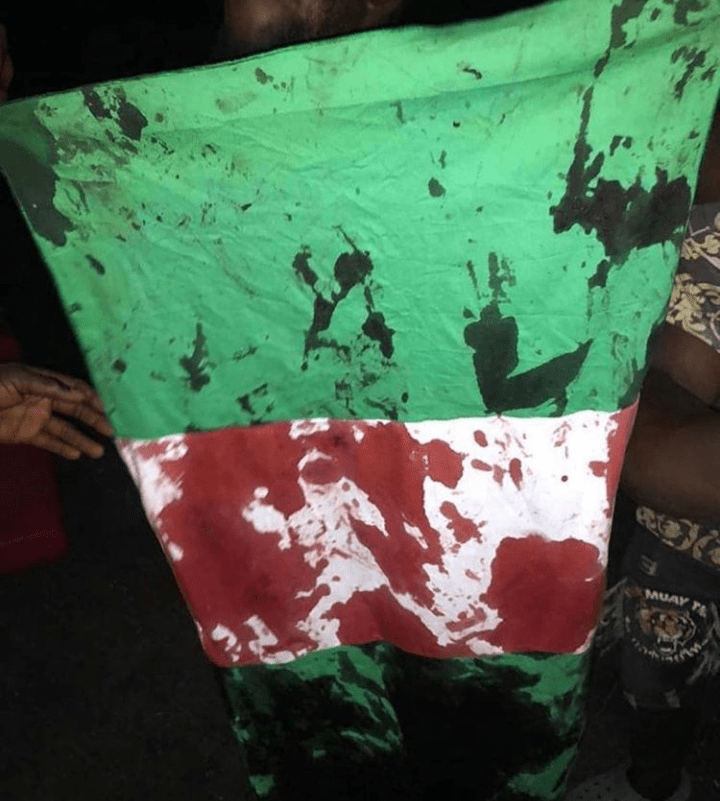 Shot EndSARS advocate Lekki Massacre Stain Nigerian Flag