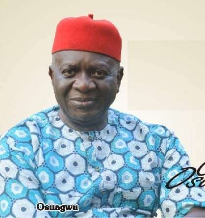 Ọhaneze President: 9 More Igbo Groups Back Osuagwu 