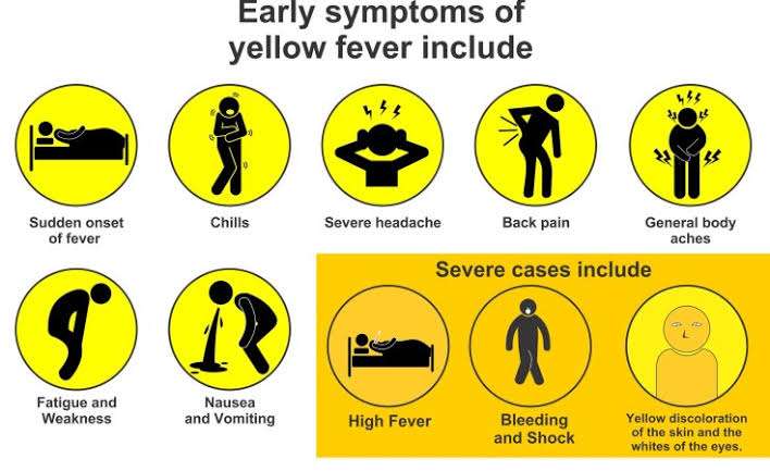 #YellowFever: Enugu State Releases Help Lines