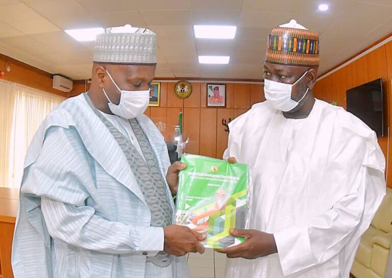 Governor Inuwa Visits Minister of Power