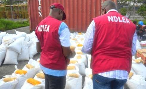 NDLEA Operatives and consignments of illicit substances