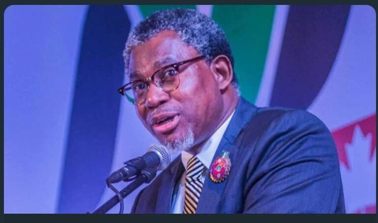 Minister of Mines and Steel Development Arc Olamilekan Adegbite What Nigeria Needs For Mining Sector Development - Adegbite