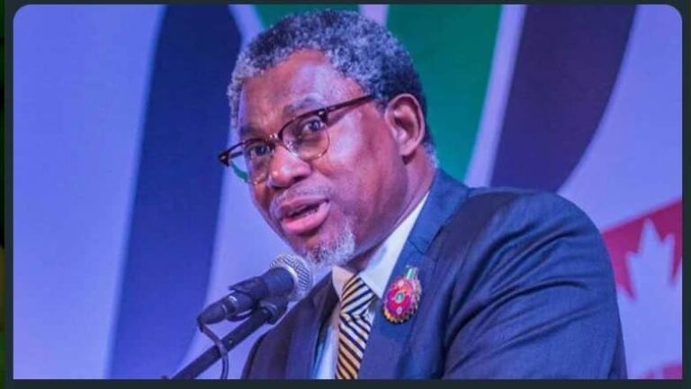 Minister of Mines and Steel Development Arc Olamilekan Adegbite