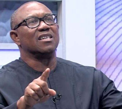 Presidential candidate, Labour Party, Peter Obi