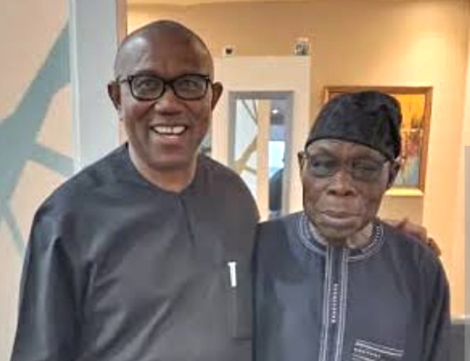 Peter Obi and Olusegun Obasanjo