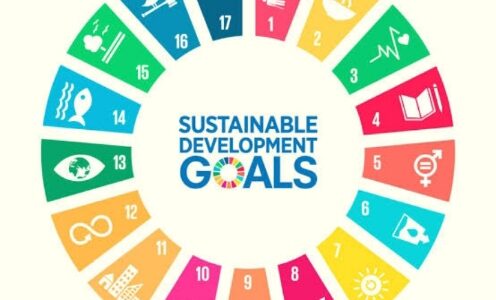 Sustainable development goals (SDGs) and AYGF