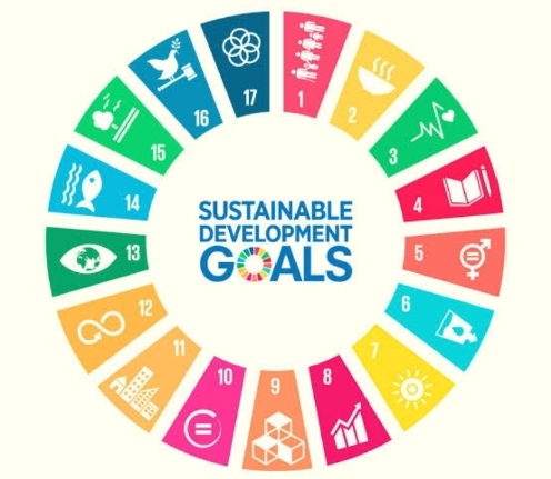 Sustainable development goals (SDGs) and AYGF