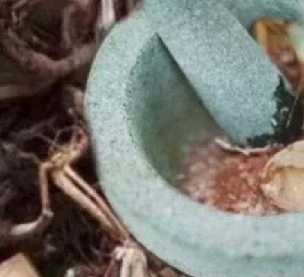 pastor's wife arrested after native doctor died during sex romp with her