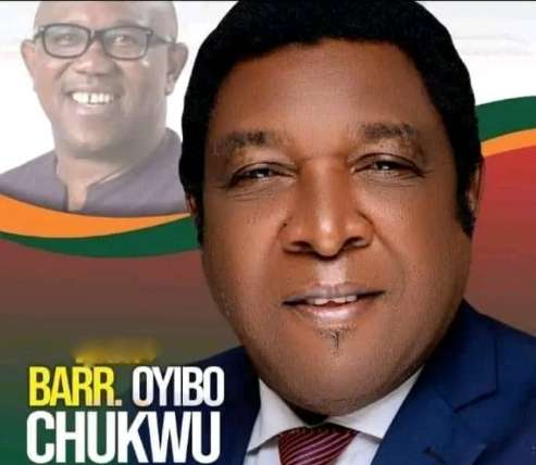 Late Barrister Oyibo Chukwu, Enugu East Senatorial District of Enugu State