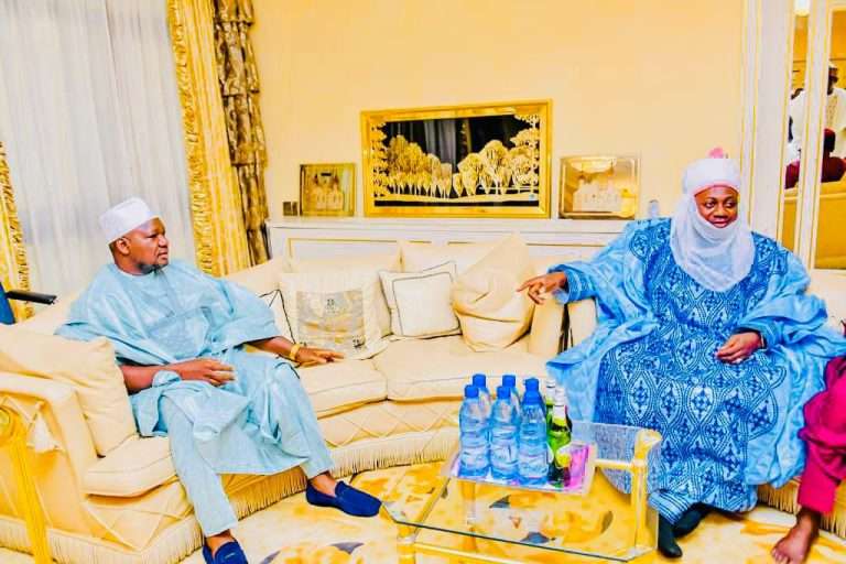 Palace Robbery: Jawon Minna Consoles Gov, Emir