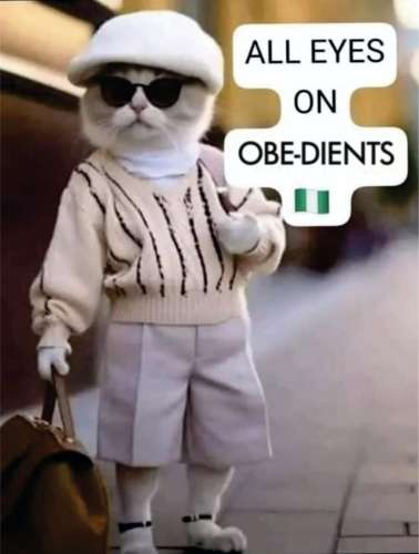 All Eyes On Obidients As Pro-Democracy Groups Issue Security Agencies 7-Day Ultimatum To Caution Obidients On Alleged Intimidation Of Judges