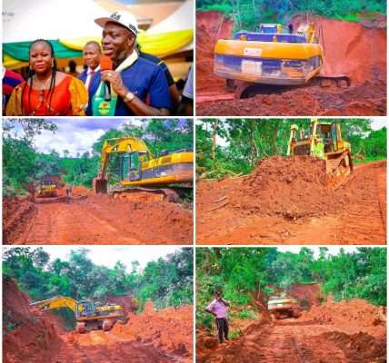 Council Boss Appreciates Governor Soludo As Work Begins At Nnobi, Oba Gully Erosion Sites