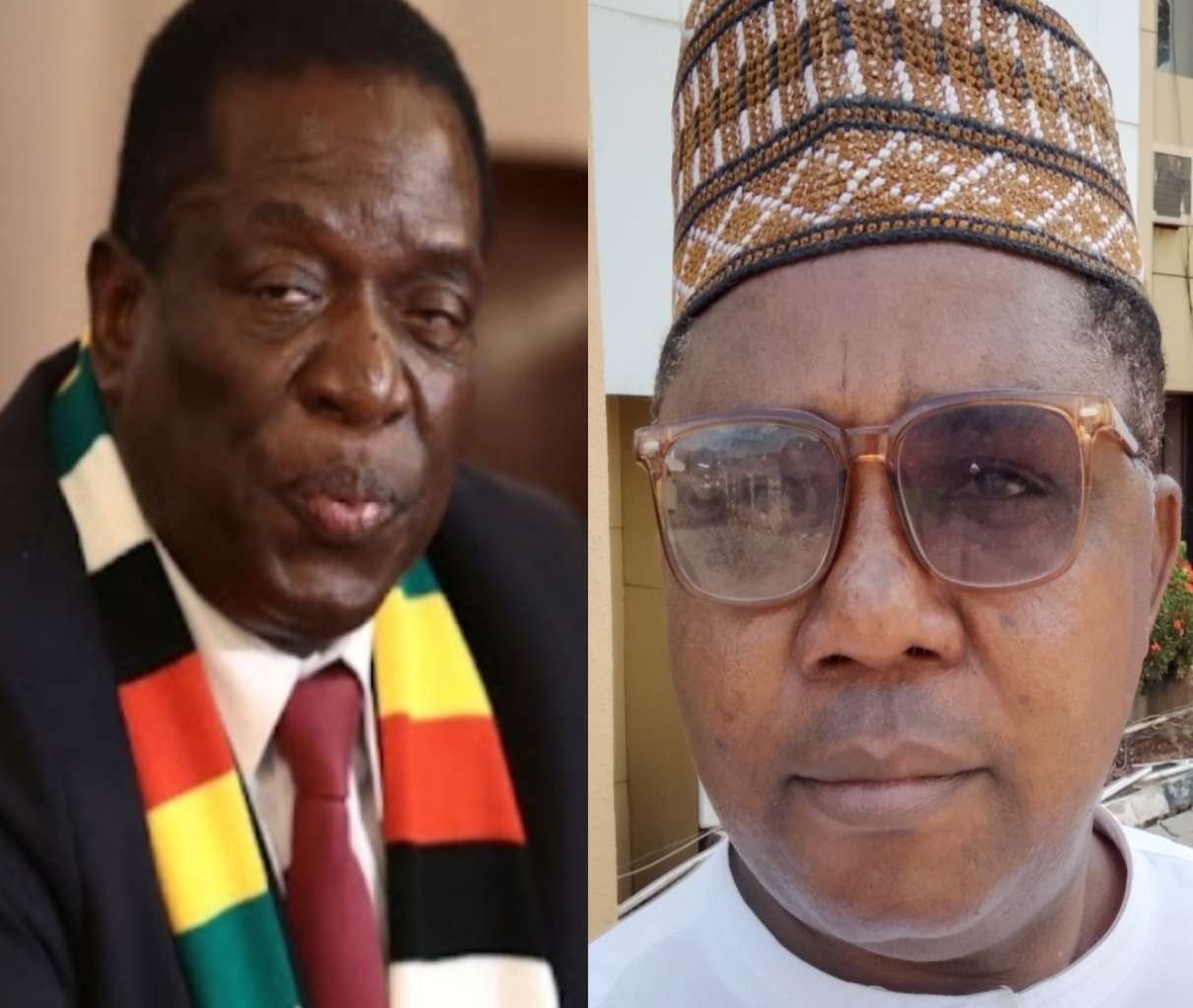 President Emmerson Dambudzo Mnangagwa And Comrade James Ezema