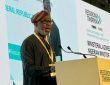 Nigeria Woos Foreign Mining investors with Lower Production Cost