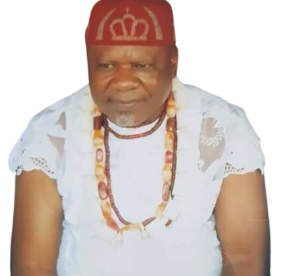 South East Monarch Eze-Igwe Williams Ezugwu