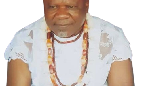 South East Monarch Eze-Igwe Williams Ezugwu