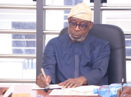 100 Days: Alake’s Midas Touch Spurs Global Interest in Mining Sector