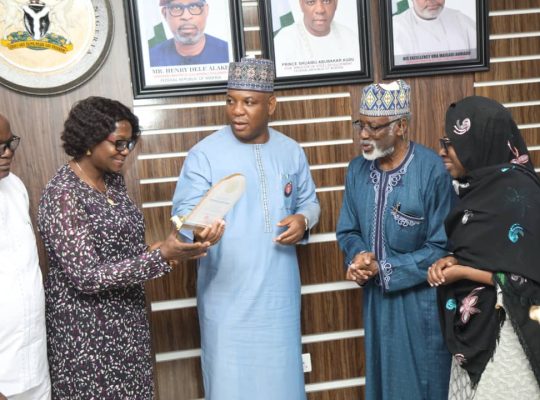 Ministry Of Steel Development Seek Between $3-5bn To Revive Ajaokuta - Audu