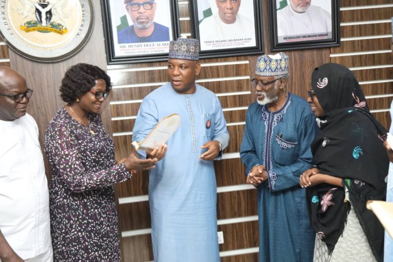 Ministry Of Steel Development Seek Between $3-5bn To Revive Ajaokuta - Audu