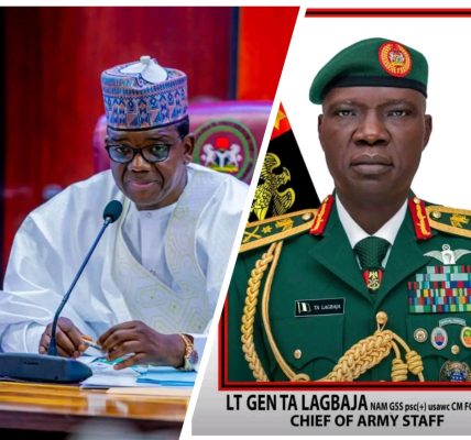 Defence Minister Commends Nigerian Army Over Successful Tungar Mangwaro Operations
