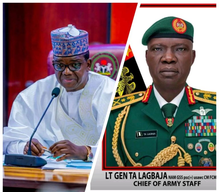 Defence Minister Commends Nigerian Army Over Successful Tungar Mangwaro Operations