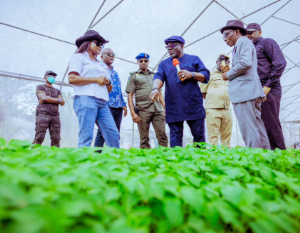 The N2bn Governor Sheriff Oborevwori Special Agric Intervention Initiative In Delta State
