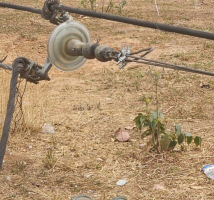 Again, TCN Suffers System Sabotage As Vandals Touch Shiroro-Katampe Transmission Line