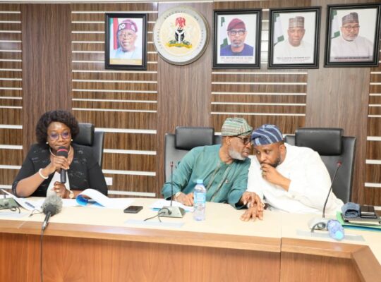 Minister Canvasses For Legislative Support For Local Value Addition in Mineral Sector