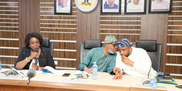 Minister Canvasses For Legislative Support For Local Value Addition in Mineral Sector