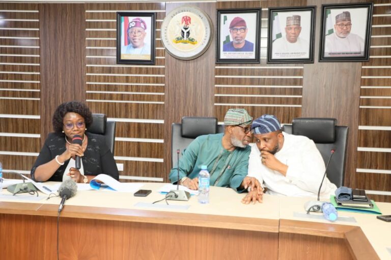 Minister Canvasses For Legislative Support For Local Value Addition in Mineral Sector