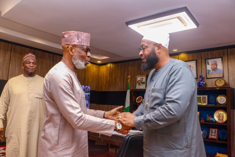 Collapsed Mine: Alake Condoles Victims, Vows To Enforce Miners' Insurance