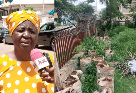 A widow, Ebere Mogbo, has raised alarm over being prevented by the chairman of the estate where she resides from participating in the N25 million every-home-a-garden competition of the First Lady of Nigeria, Senator Oluremi Tinubu