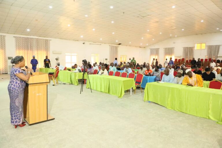 Federal Government Intervenes in Osun State, Segilola Gold Mine Dispute
