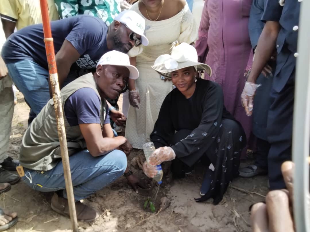 Kwara State Embarks on Ambitious Tree Planting Initiative to Combat Climate Change