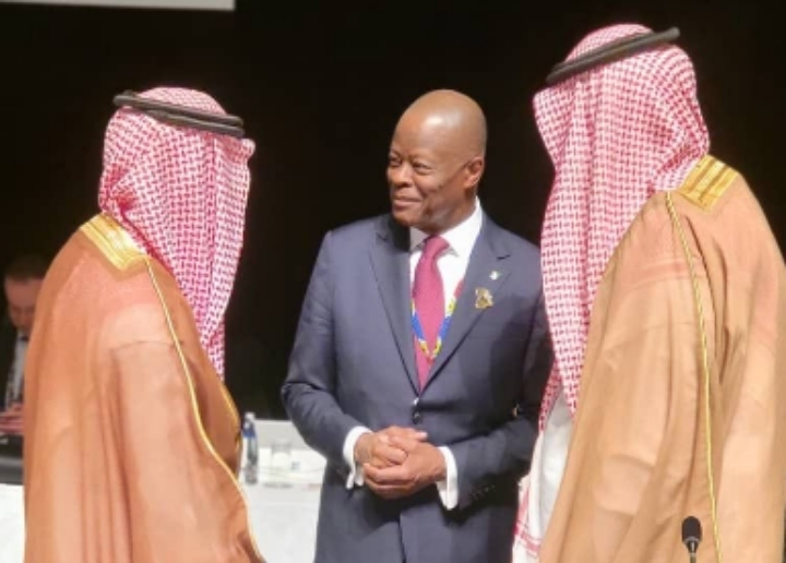 G20 SUMMIT: Nigeria Engages Global Financial Leaders in Cape Town