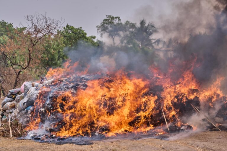 Kogi State Takes Bold Step Against Drug Abuse Destroys 25 Tons of Illicit Substances