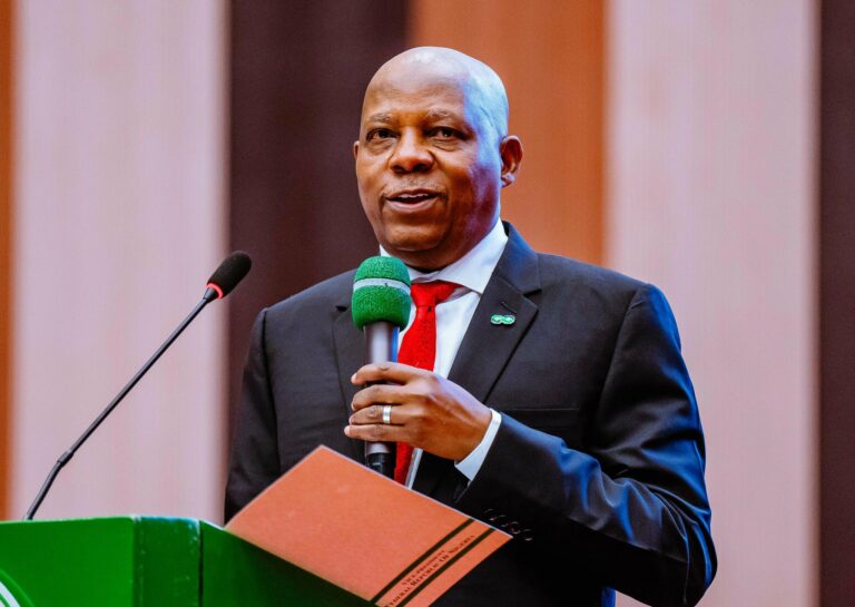 Vice President Senator Kashim Shetima