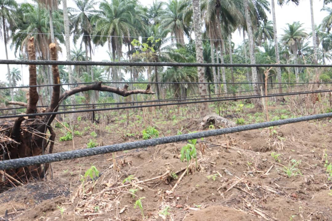 Power Sabotage: Unmasking the Roots of Infrastructure Vandalism in Nigeria