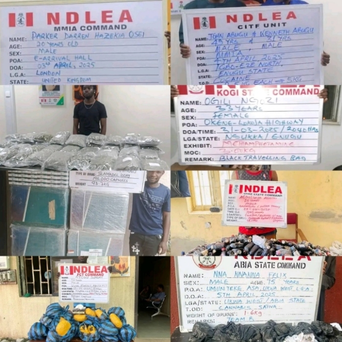NDLEA Arrests India-bound Brothers with 5kg Cocaine, Intercepts UK Techie with Large Consignment of Loud, Nabs 75-year-old Grandpa