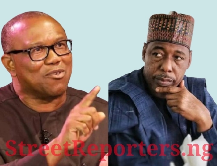 2023 Presidential Candidate of Labour Party and former Governor of Anambra State, Mr Peter Obi and Governor of Borno State, Prof. Babagana Umara Zulum